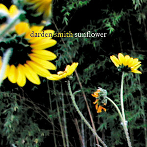 Sunflower cover