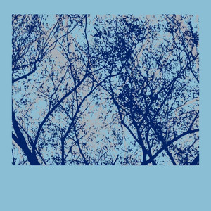 Across the Flats cover