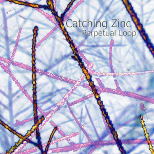 Catching Zinc cover