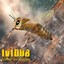 Même les abeilles Albumcover