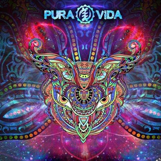 Pura Vida Photo