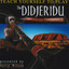 Teach Yourself To Play The Didjeridu Albumcover