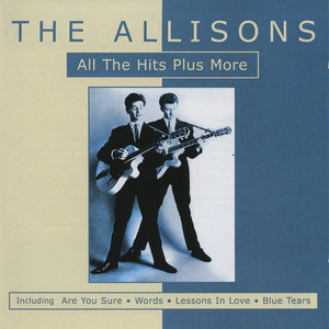 All the Hits Plus More By The Allisons album