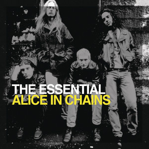 The Essential Alice In Chains album