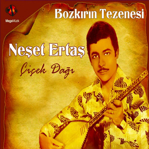 Sazlı Sözlü Oyun Havaları cover