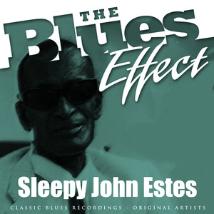 The Blues Effect - Sleepy John Estes cover