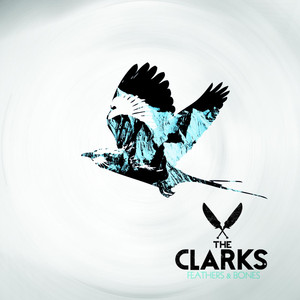 Feathers & Bones cover