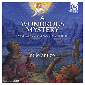 A Wondrous Mystery cover