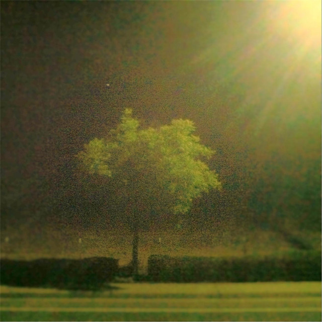 The Beaten Path Photo