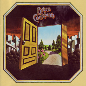 Bruce Cockburn cover