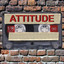 Attitude cover