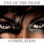 Eye of the Tiger Compilation Albumcover