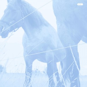 Claus Richter, Benjamin Fehr