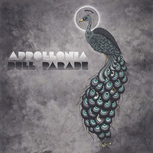 Dull Parade cover
