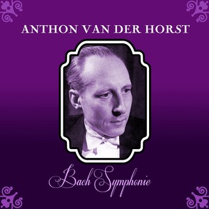 Anthon Van Der Horst