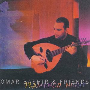 Flamenco Night cover