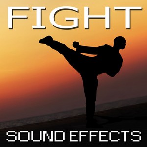 Fight Sound Effects