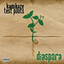 Diaspora Albumcover