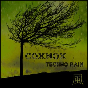 Techno Rain Albumcover