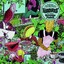 Revenge of the Plants (3rd Album) Albumcover