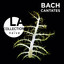Bach: Cantatas Albumcover