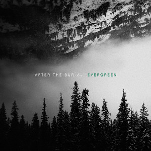 Evergreen cover