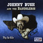 Johnny Bush And The Bandoleros Play The Hits cover