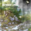 Between Lines Albumcover