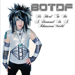 It's Hard to Be a Diamond in a Rhine Stone World cover