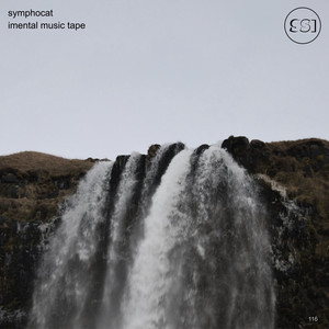 Imental Music Tape cover