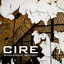 Wholesale Buyout cover