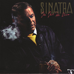 She Shot Me Down album