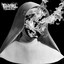 Trumpeting Ecstasy cover