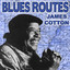 Blues Routes James Cotton cover