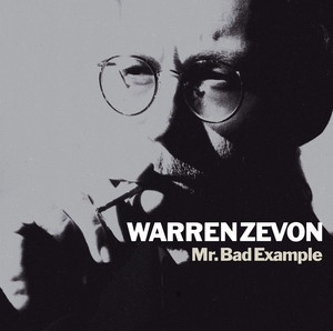 Mr. Bad Example album
