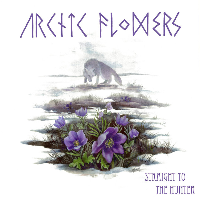 Arctic Flowers Photo