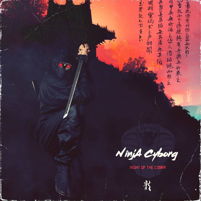 NinjA Cyborg Photo