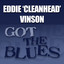Got the Blues cover