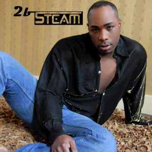 2bsteam cover