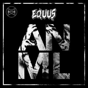 Equus Photo