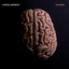 The Maze Albumcover