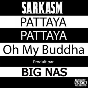 Sarkasm poster