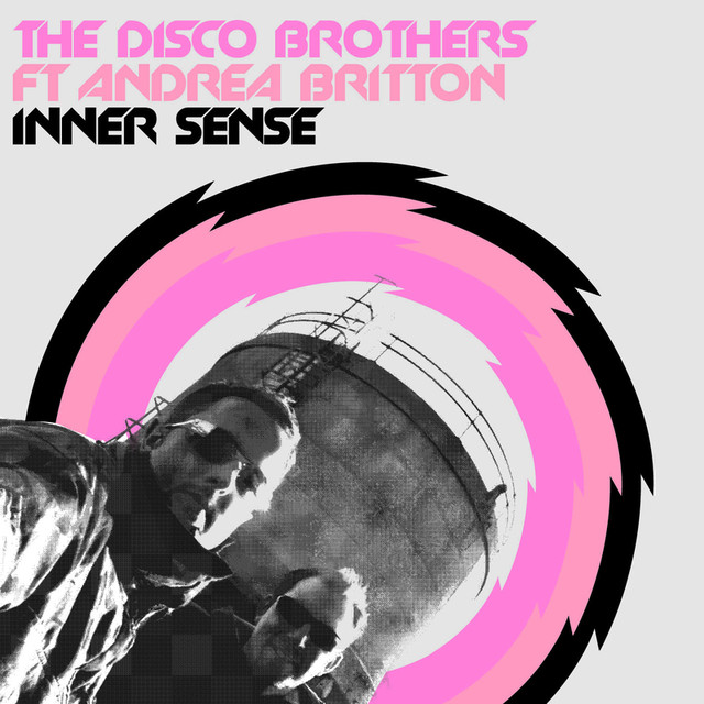 The Disco Brothers Photo