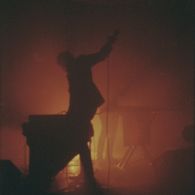 Marshstepper Photo