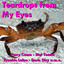 Teardrops From My Eyes cover
