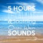 Song of the Ocean - Best Quality Nature Sounds