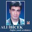 Dağlar Yandı Sevdamıza Albumcover