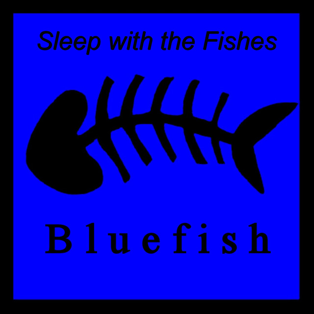Bluefish Photo