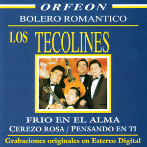 Los Tecolines - Bolero Romantico cover