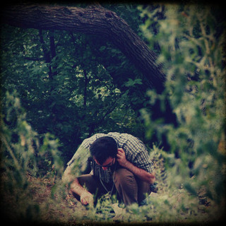Porya Hatami Photo